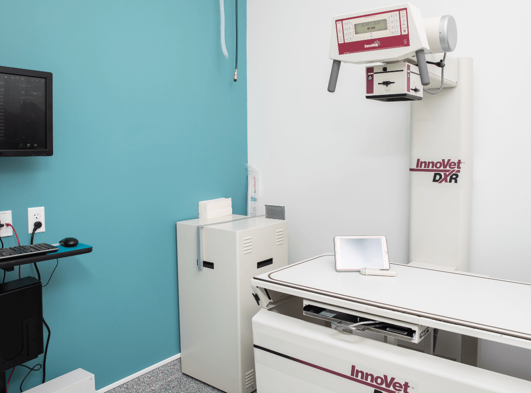 Digital radiology room at Animal Urgent Care